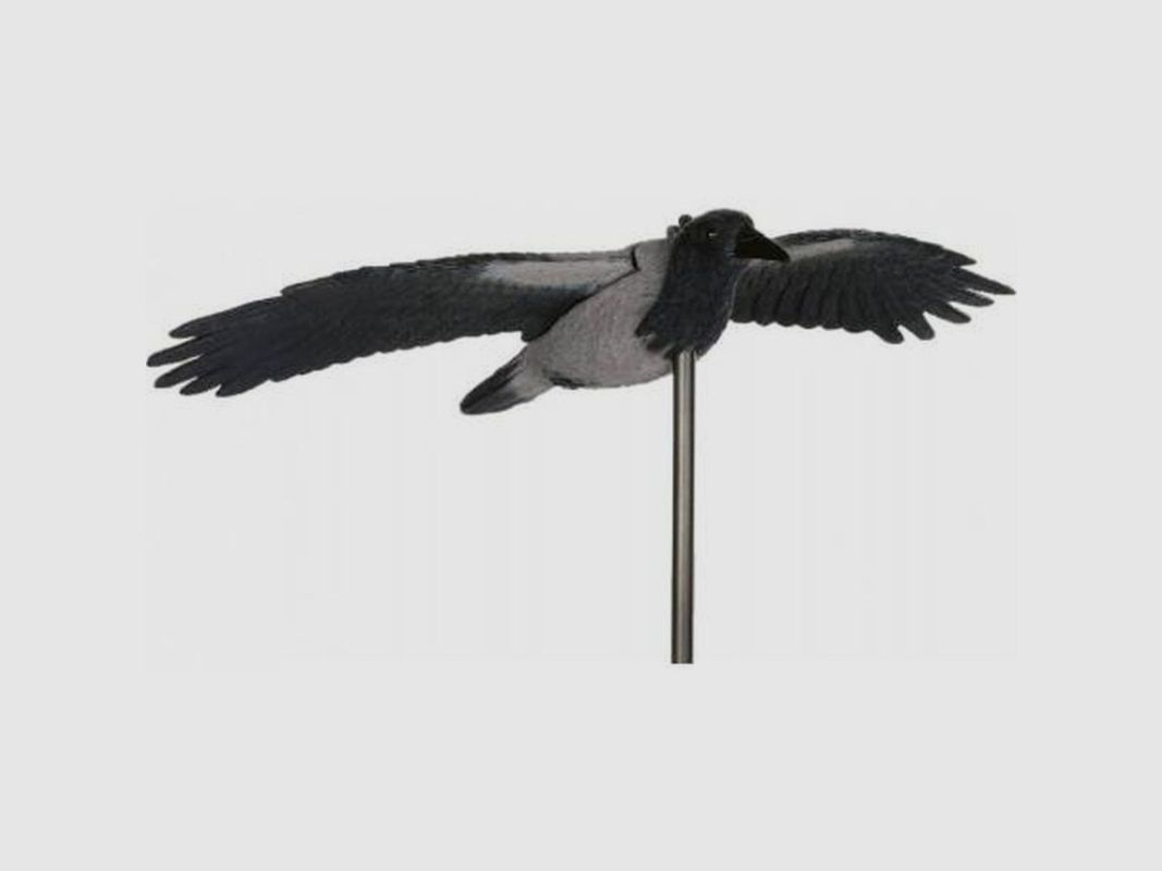 SPORTPLAST MOLDES CUERVO VUELO