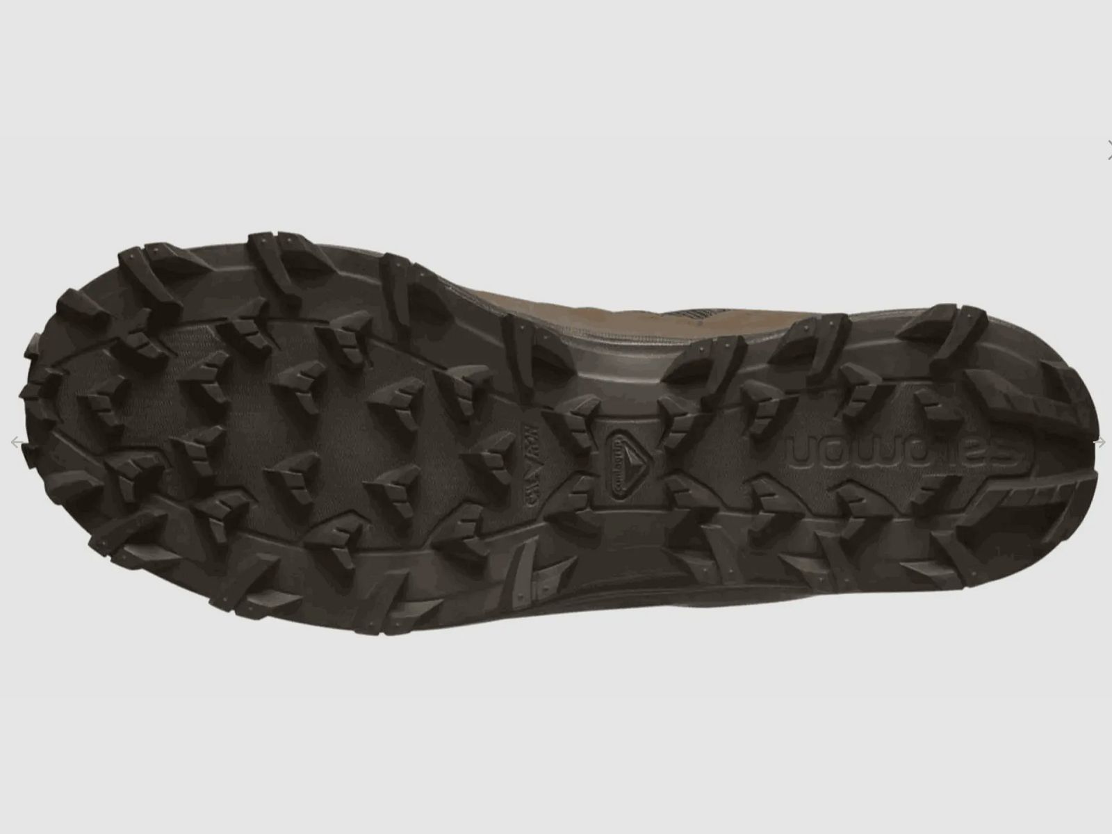 Speed Assault 2 GTX Salomon (Earth brown), image 4 sur 5