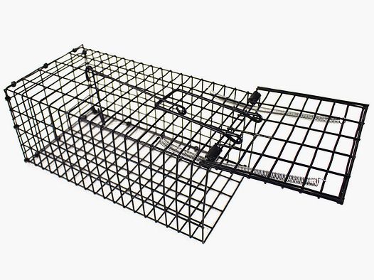 Compact rat live trap