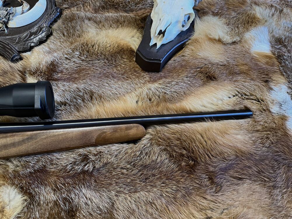 SteelAction HS