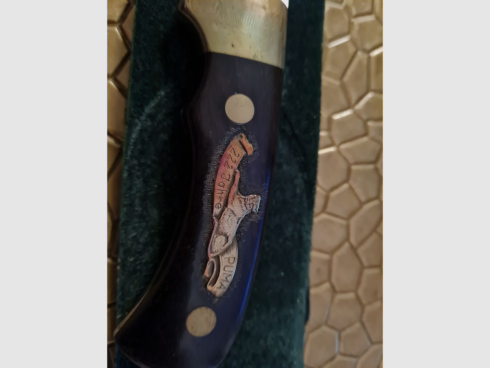 Puma Zilveren Leeuw Nr. 145/222