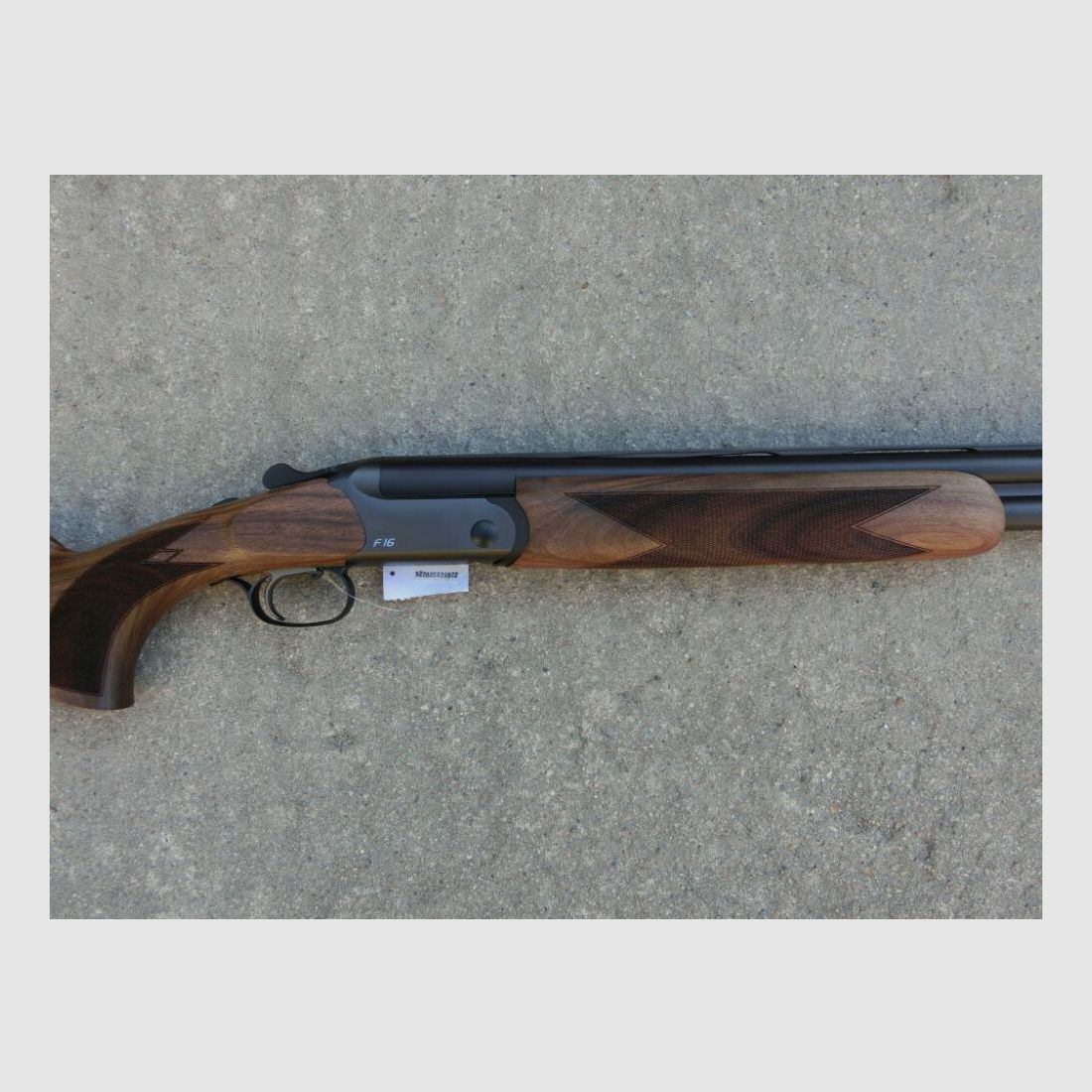 Blaser F16 Game