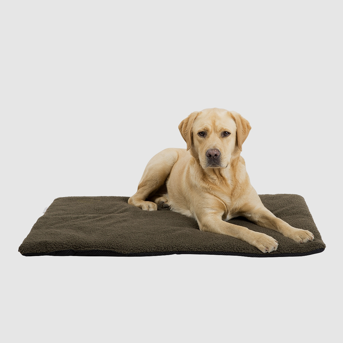 SODIA Hundedecke 94x140cm Ansitz olive, Bild 1 von 3