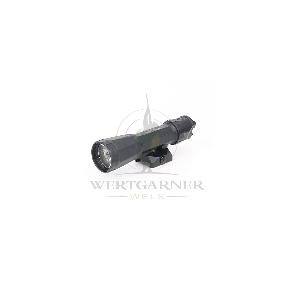 Holosun RAID Lampe de Fusil