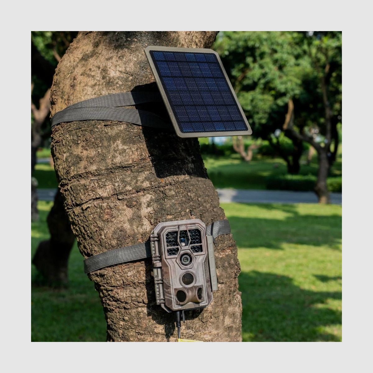 Solarpanel Gardepro sp300, Bild 3 von 3