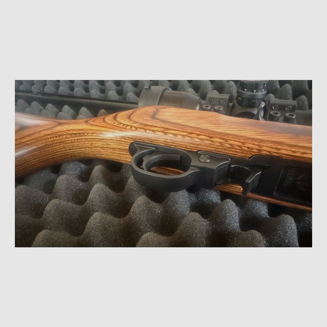Ruger 10/22 Target