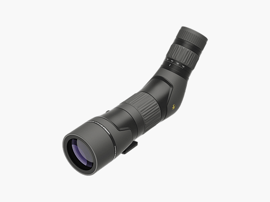 Leupold SX-2 Alpine 20-60x60mm