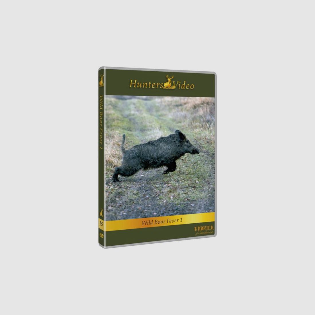 Wild boar fever