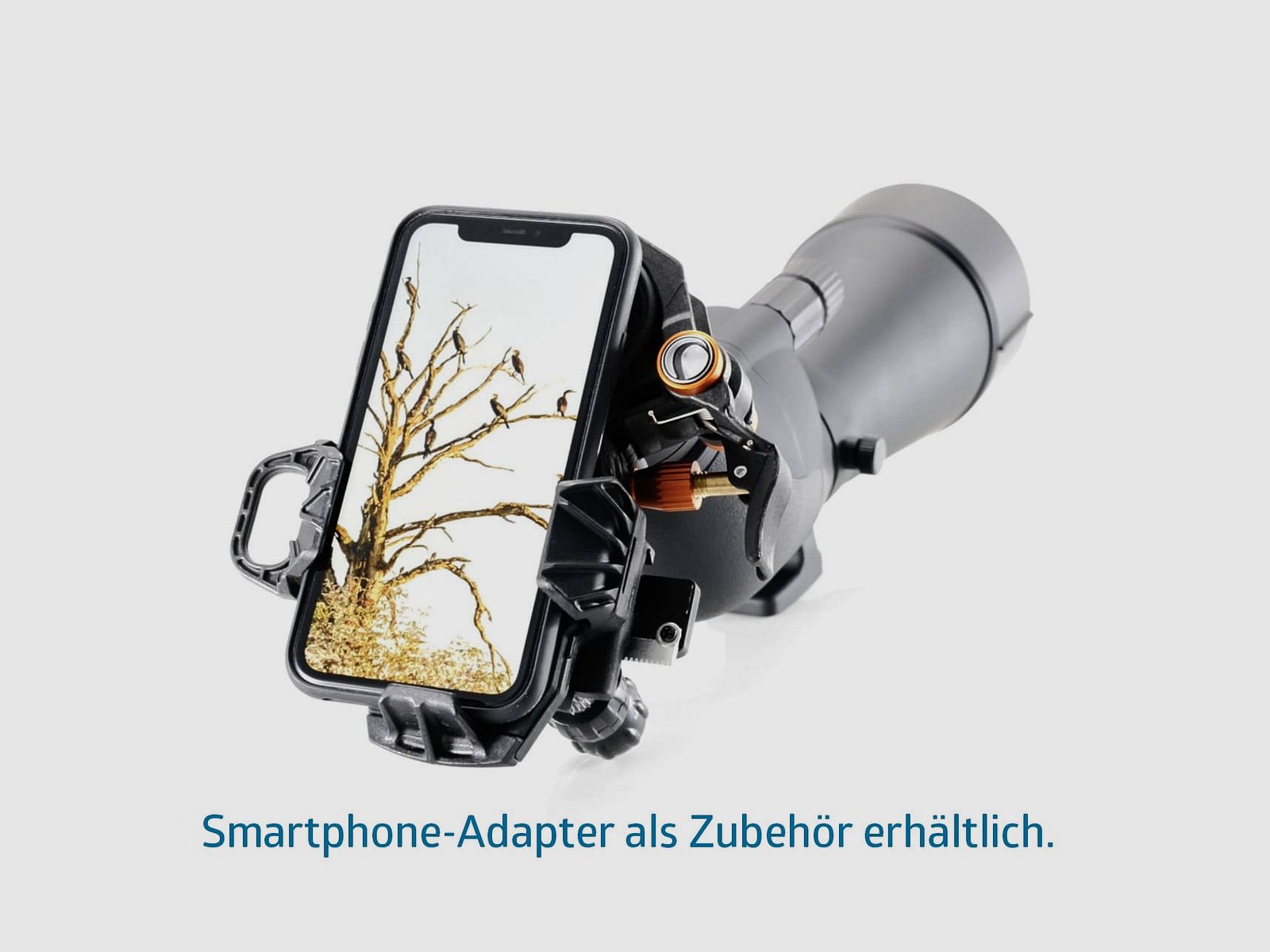 NS 20-60x80 ED inception | generalüberholt