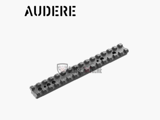 Rail Picatinny in acciaio AUDERE per Tikka T3