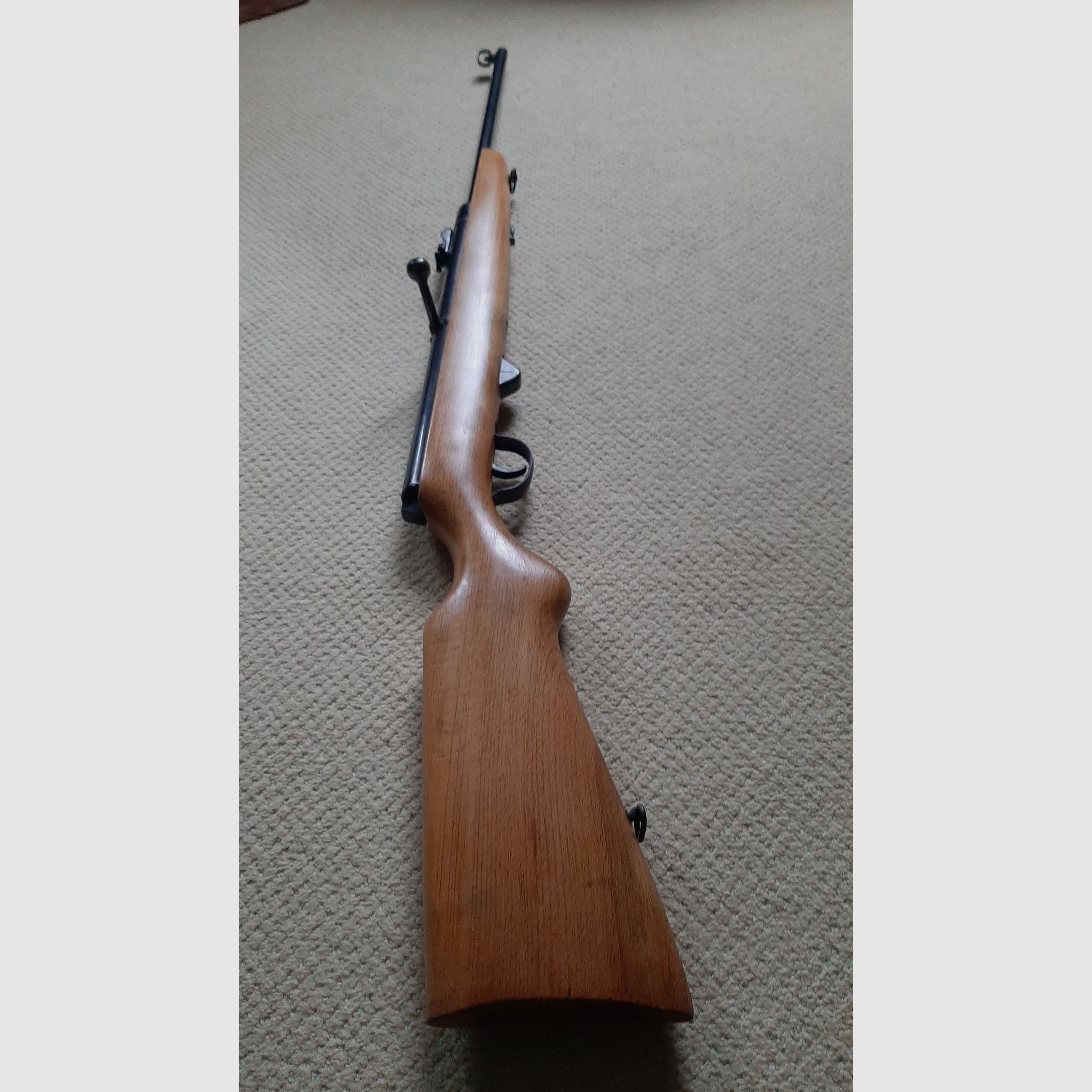 Haenel 310 carabine à air