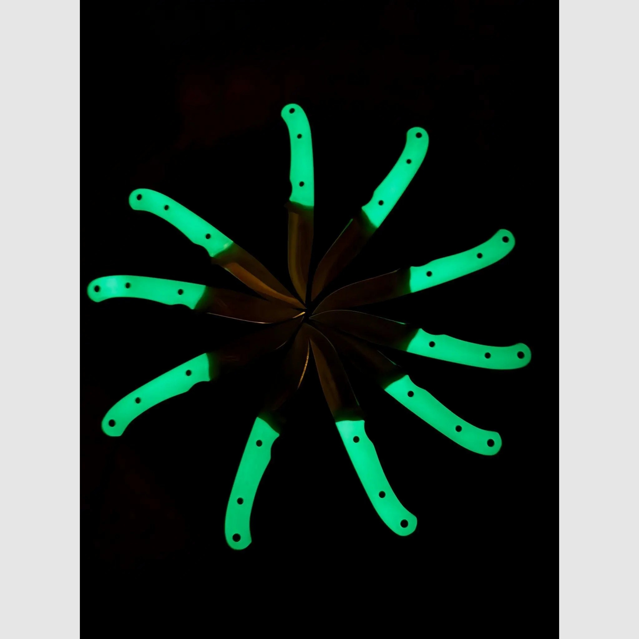 PUMA IP catamount nachleuchtend