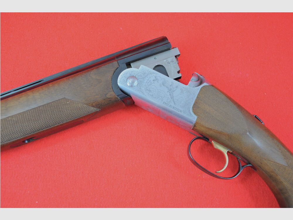 Rizzini Albion