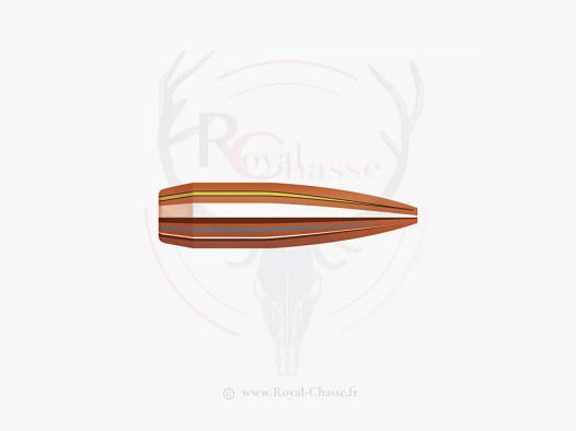 100 ogives Cal.30 D.308 168Grs BTHP MATCH HORNADY