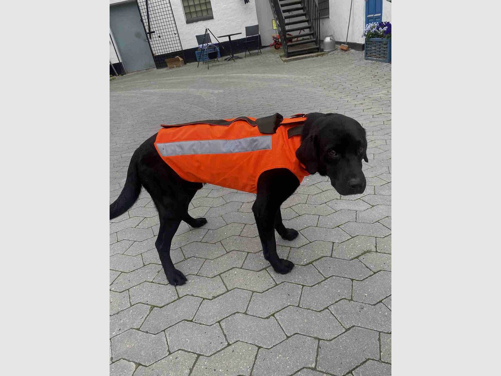 Rhino hundevest med Kevlar, billede 1 af 4