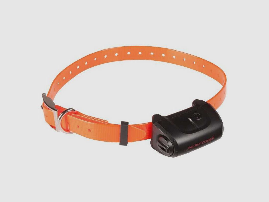 Bildungs-Halsband-Set Canicom 5.500 - 500m, Bild 2 von 4