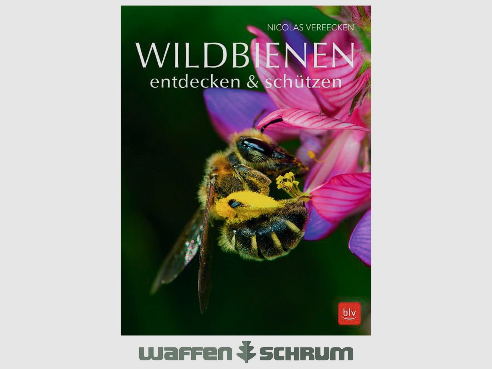 Gräfe & Unzer Discovering & Protecting Wild Bees