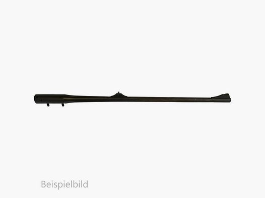 Blaser WL R8 Caccia Match .223 Rem Canne Intercambiabili