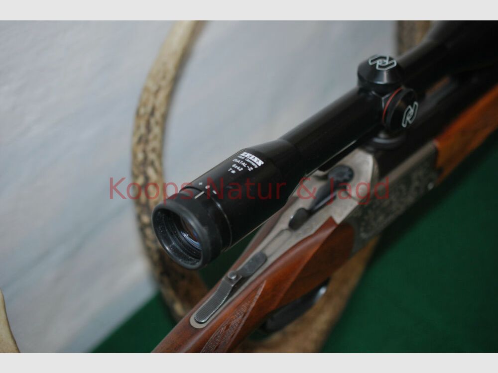 Blaser ES 63