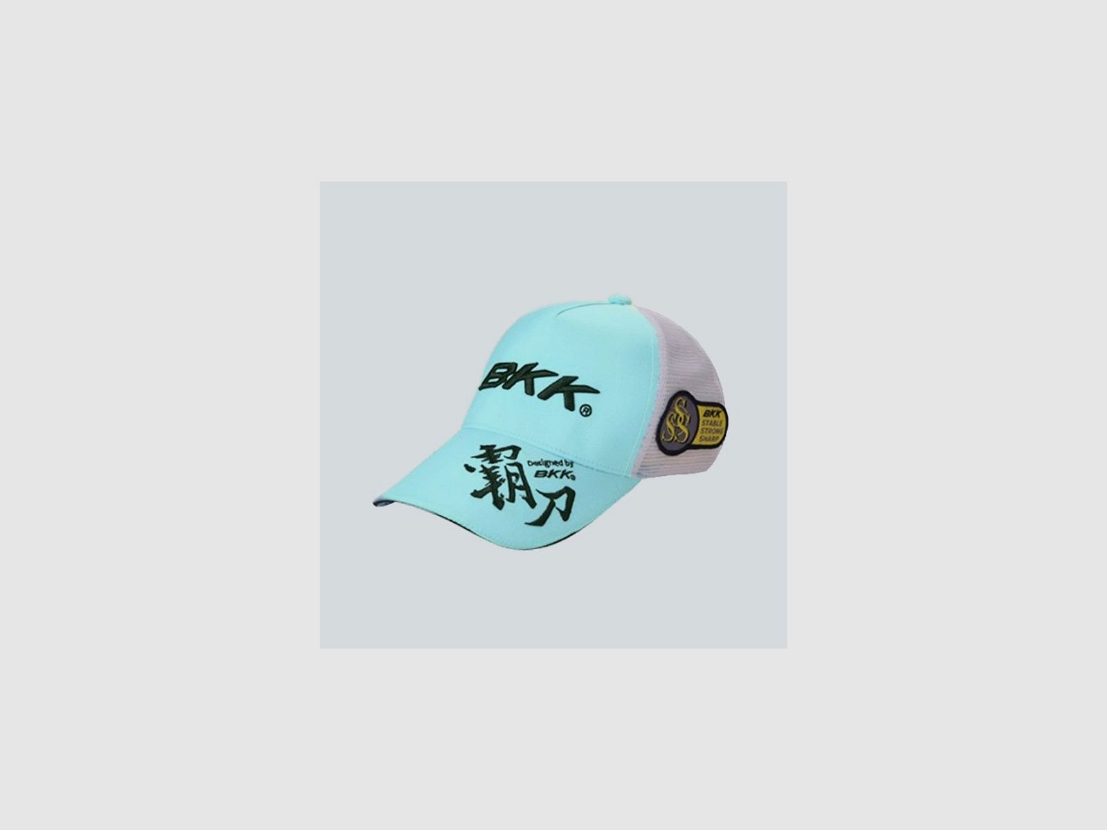 BKK MESH CAP BLAUW, afbeelding 1 van 2