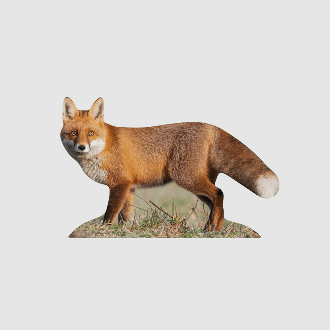 Support d'animal Renard