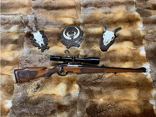 Steyr -Mannlicher Mod.M