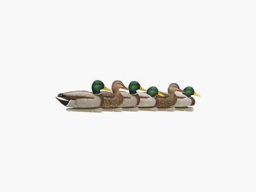 Formes de colvert AvianX open water HD