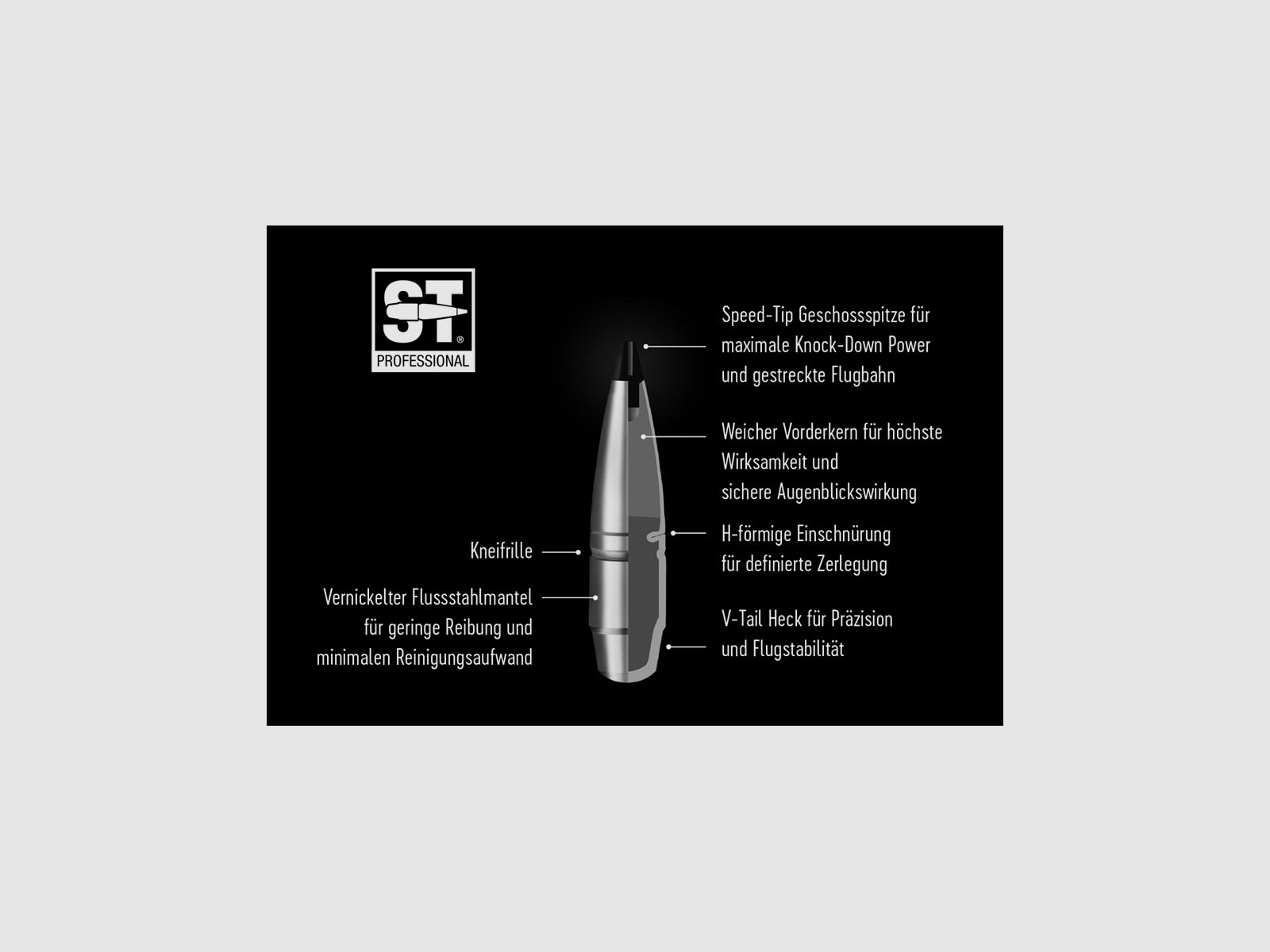 RWS 308 WIN 165 GRS / 10,7 G SPEED TIP PROFESSIONAL 20 PCS, image 3 sur 3