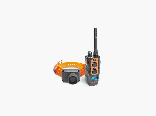 Halsband mit Beeper DOGTRA 2600 T&B