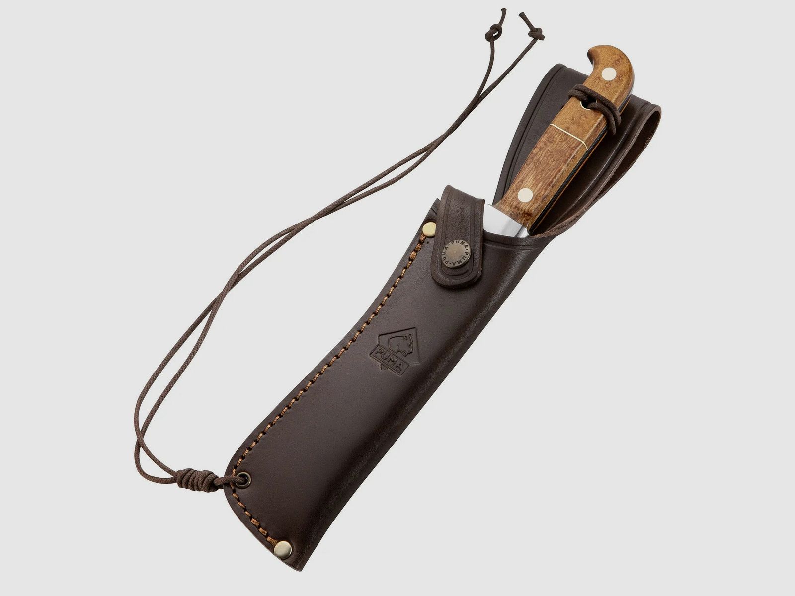 PUMA white hunter, leopard