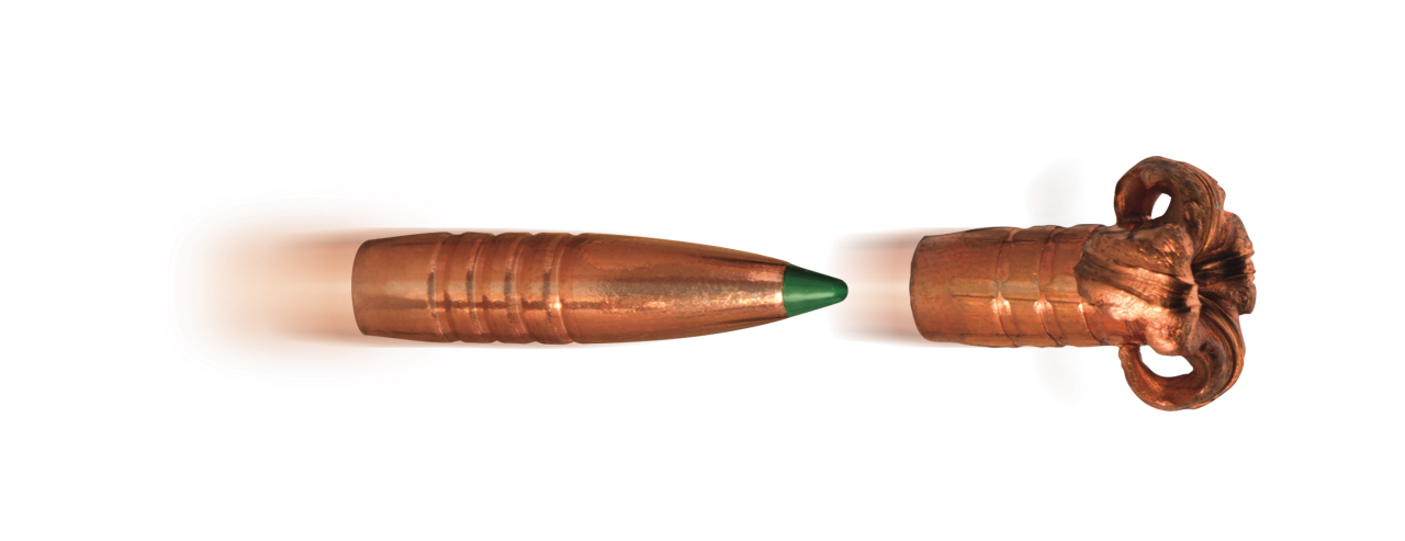 Blaser – Munition / 8x68S / 170gr / 11.0g / CDC / Bleifrei / 20 Stk., Bild 4 von 4