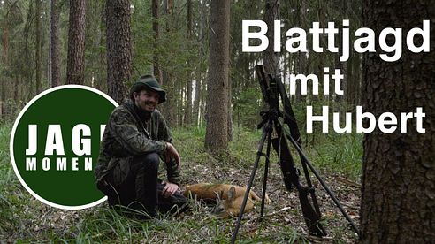 Blattjagd im Wald mit Hubert | JagdMomente mit Freunden | Folge 6