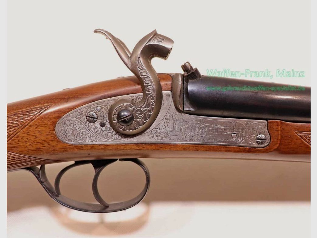 Zoli - Modèle italien Kodiak