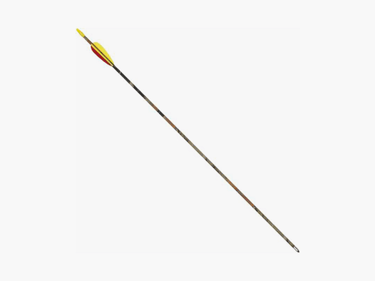 Haller fiberglass arrow camo 30" 10 pieces