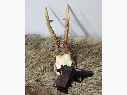 Walther PPK calibre .22 lr