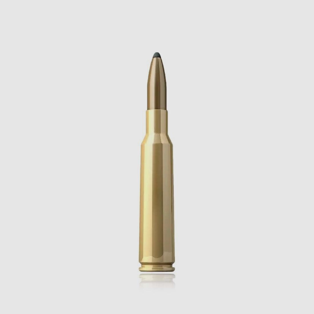 Sellier & Bellot TM 4,6g / 70gr 5,6x52R