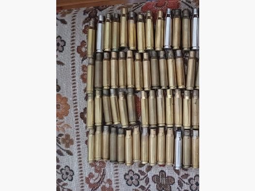 .308 Win Hülsen