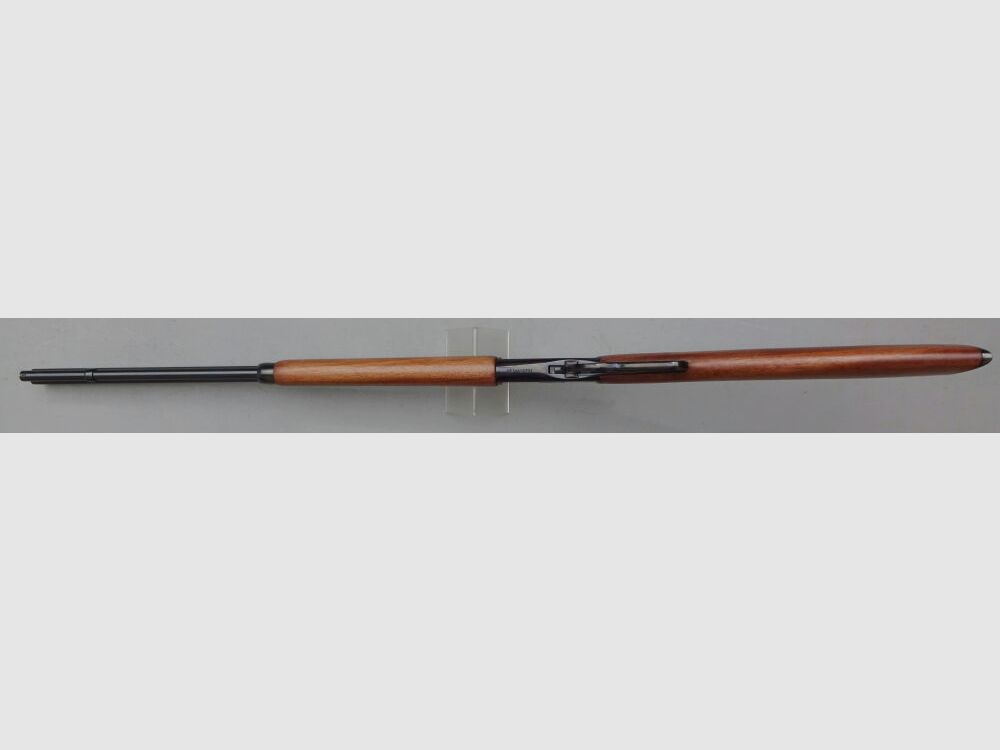 ROSSI PUMA Octagon 24" 8-sided run