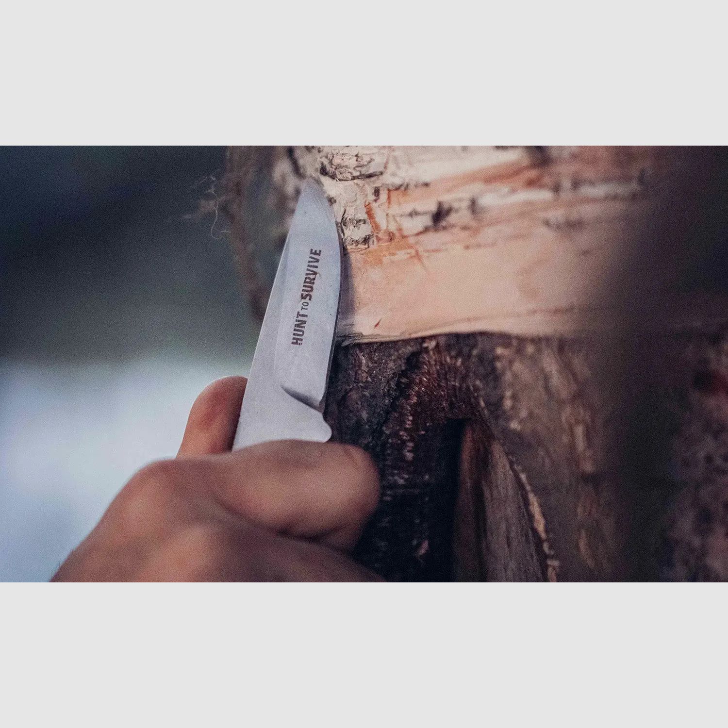 PUMA marcassin "HUNT to SURVIVE" Édition, Böhler N695