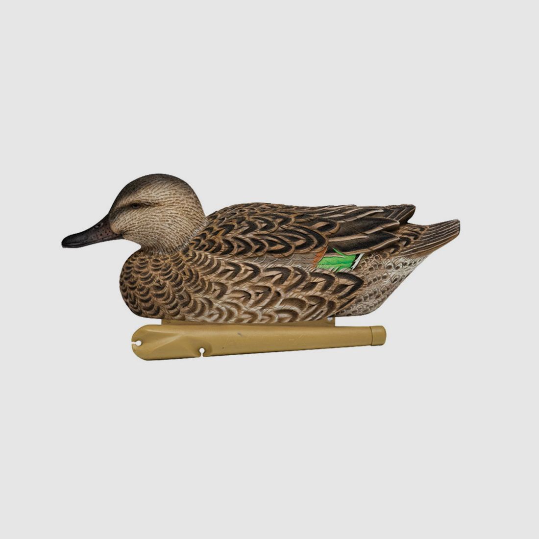 Saisonbeginn Formen von Sarcelle AvianX, Bild 3 von 5