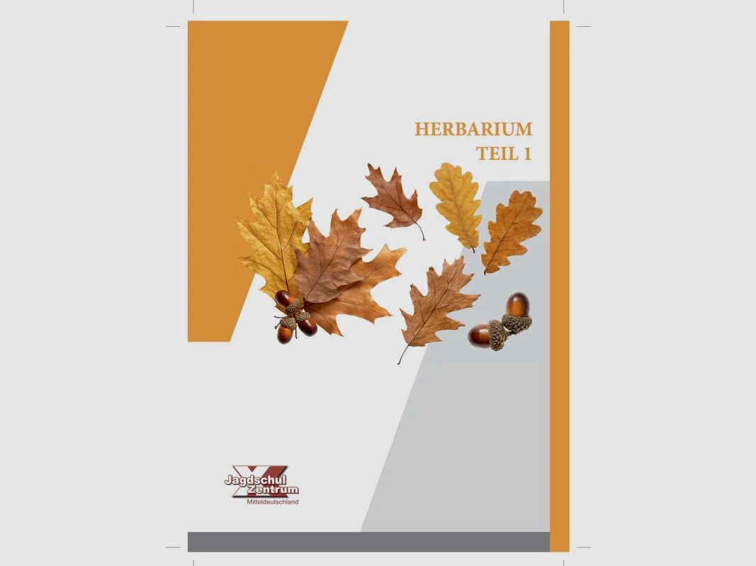 Herbarium Teil 1