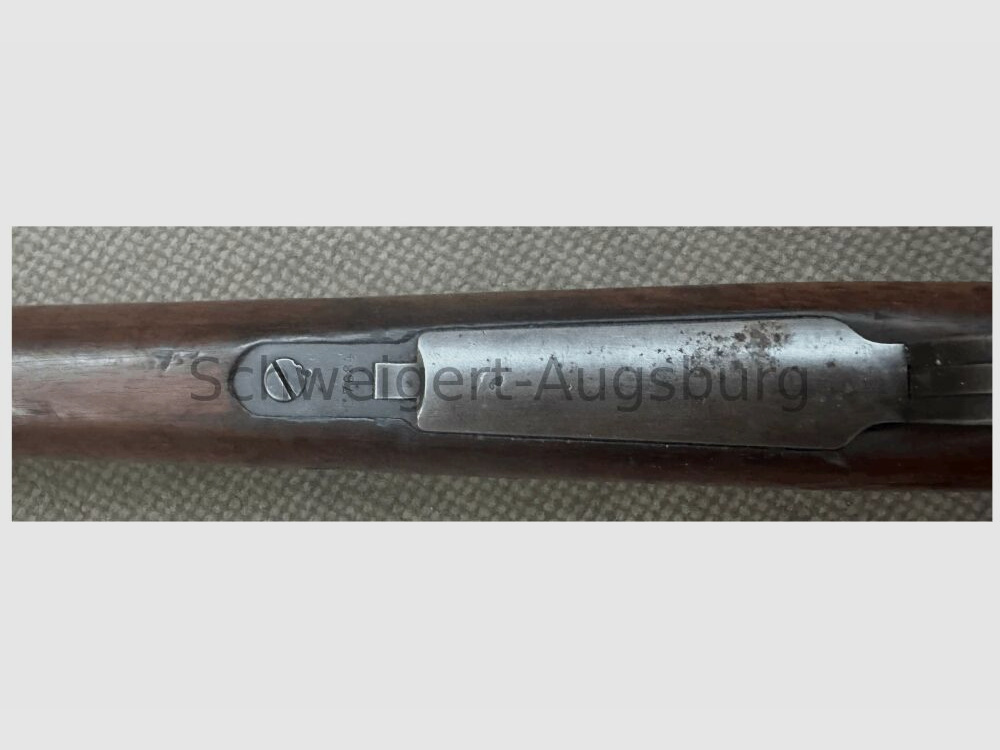 DWM Argentino 1909 Salutgewehr mit BKA Stempelung Salut