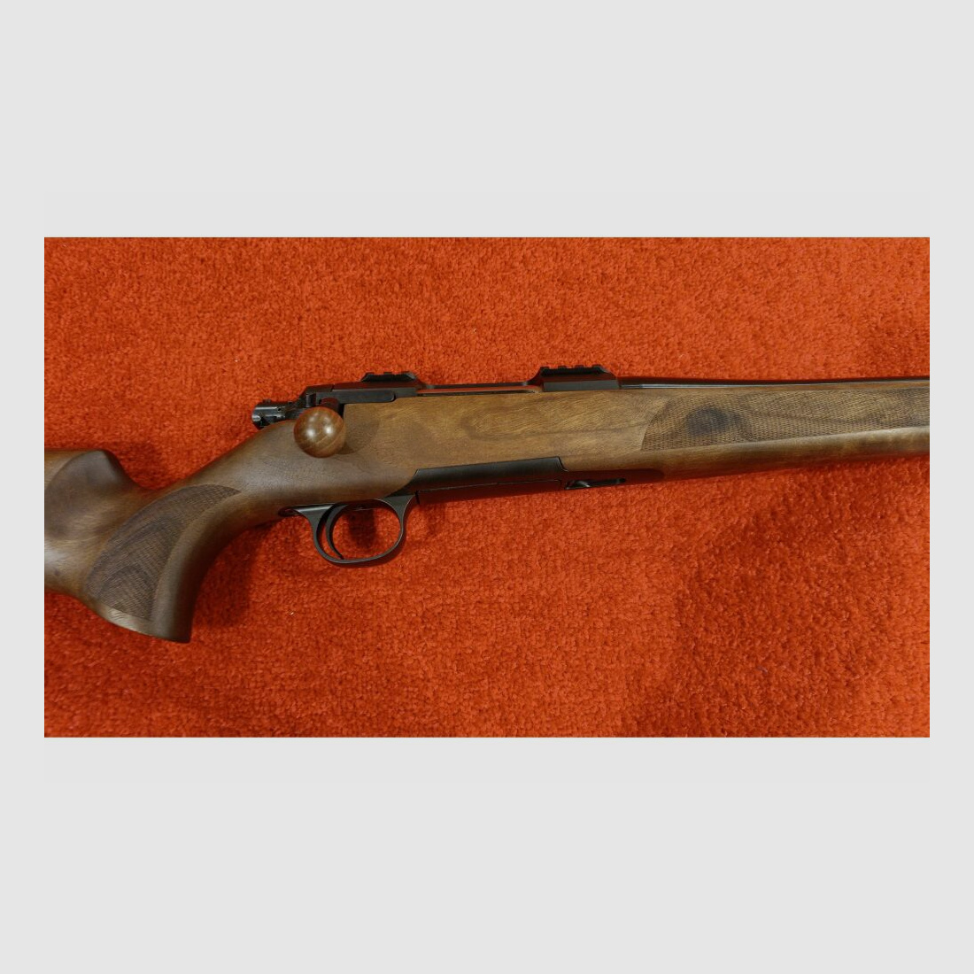 STEEL ACTION HS .308Win