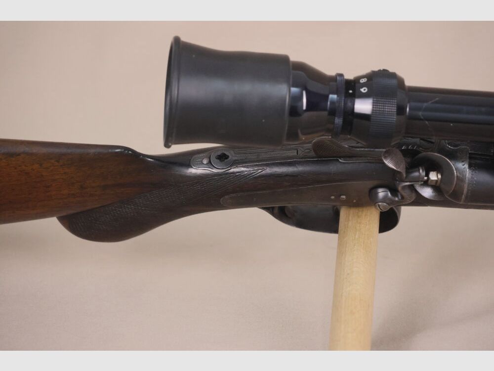 escopeta de gallo desconocida, imagen 5 de 7