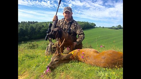 HAMPSHIRE TROPHY ROEBUCK HUNTING