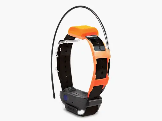 Zusätzliches Halsband Dogtra Pathfinder 2 TRX