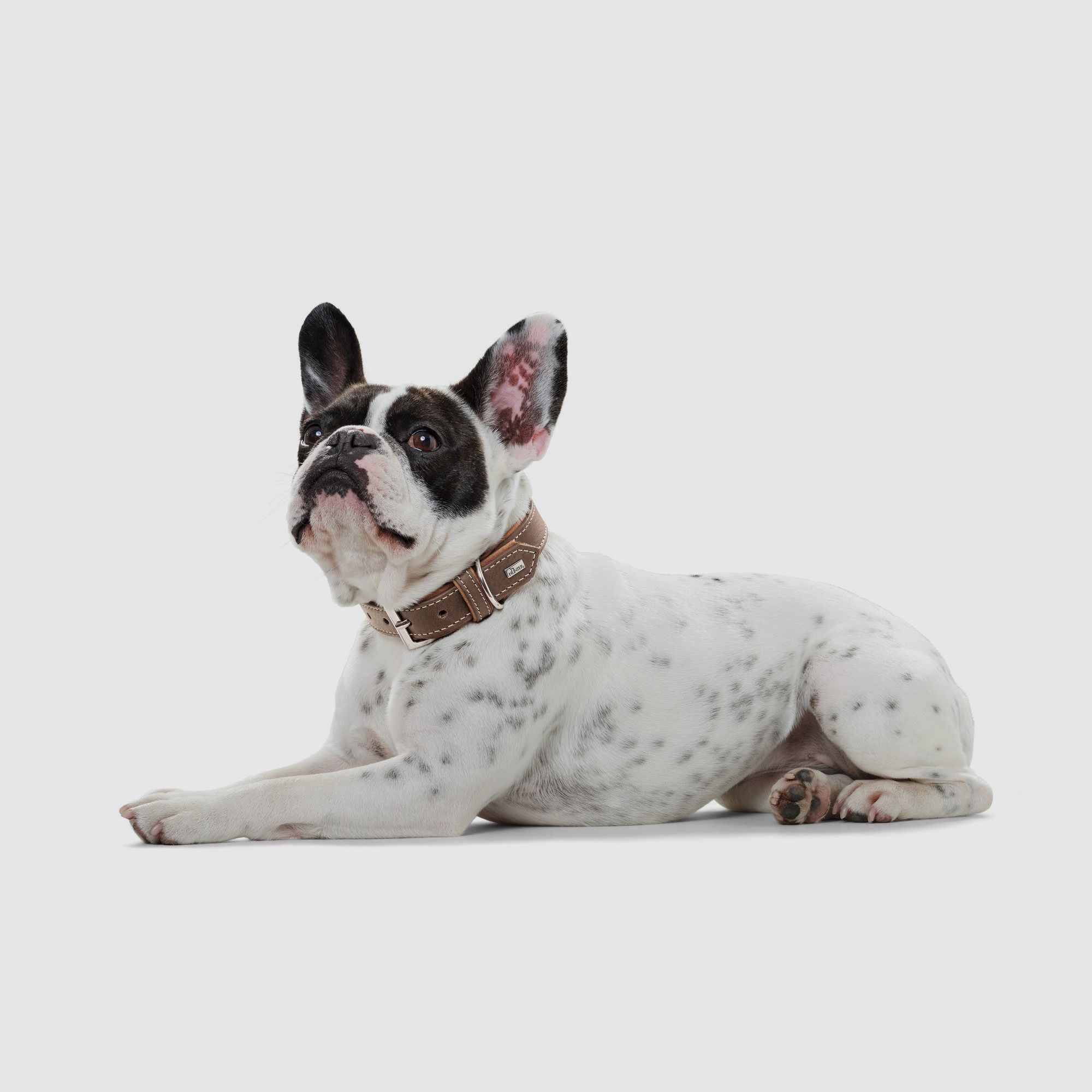 Hunter Halsband Porto