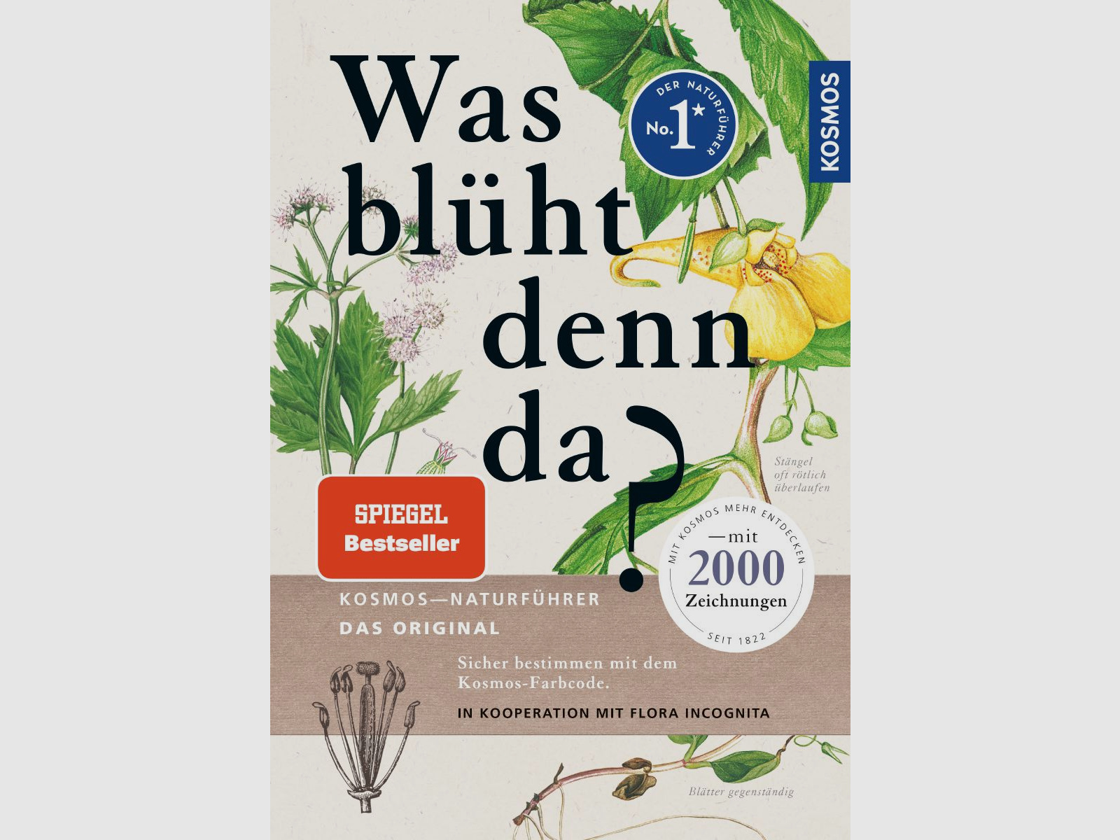 Kosmos Was blüht denn da? Margot Spohn