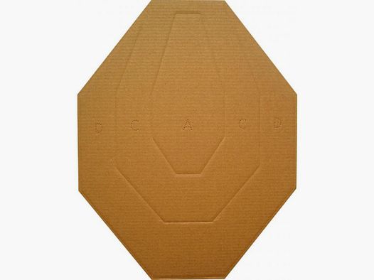 1/1 IPSC Target