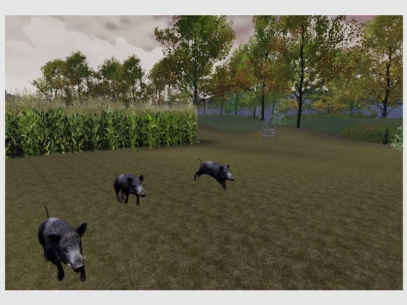 GAIM HUNTING Shooting Simulator, afbeelding 8 van 13